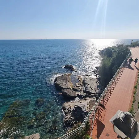 Alemare By World Janov