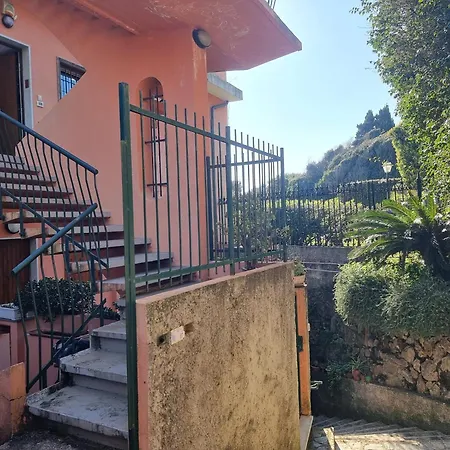 Alemare By World Janov