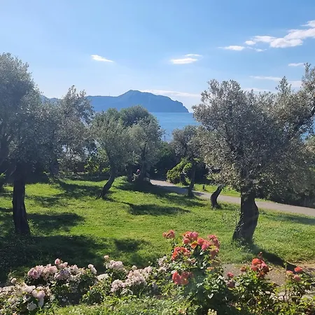 Alemare By World *